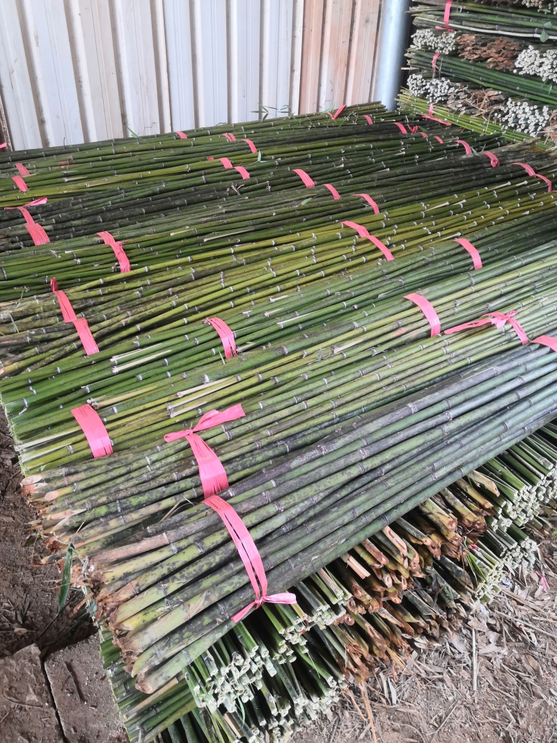 30根冬瓜架专用竹竿