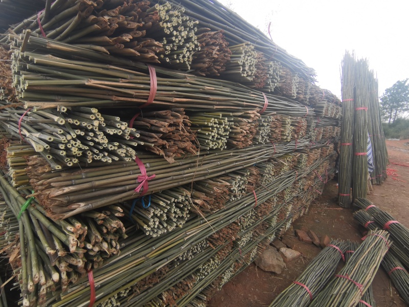 2.2米100根菜架竹山药火龙果专用竹竿