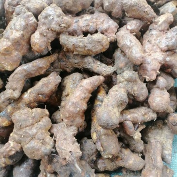 土茯苓中土（本地）粉质白肉，土茯苓中土，各种规格土茯苓
