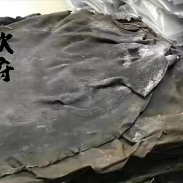 大钦上府海带大板