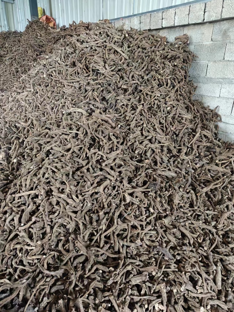 云南木香一手货源，统货，大量上市产地直供可全国发货