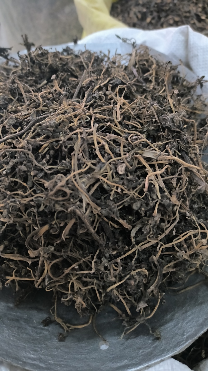 马齿笕无硫野生马齿笕批发马齿笕质量保证量大从优