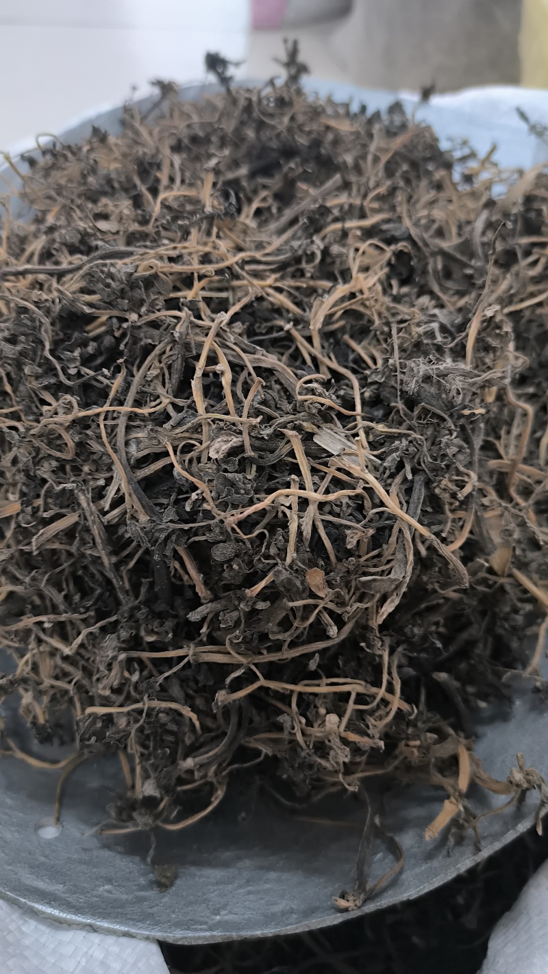 马齿笕无硫野生马齿笕批发马齿笕质量保证量大从优
