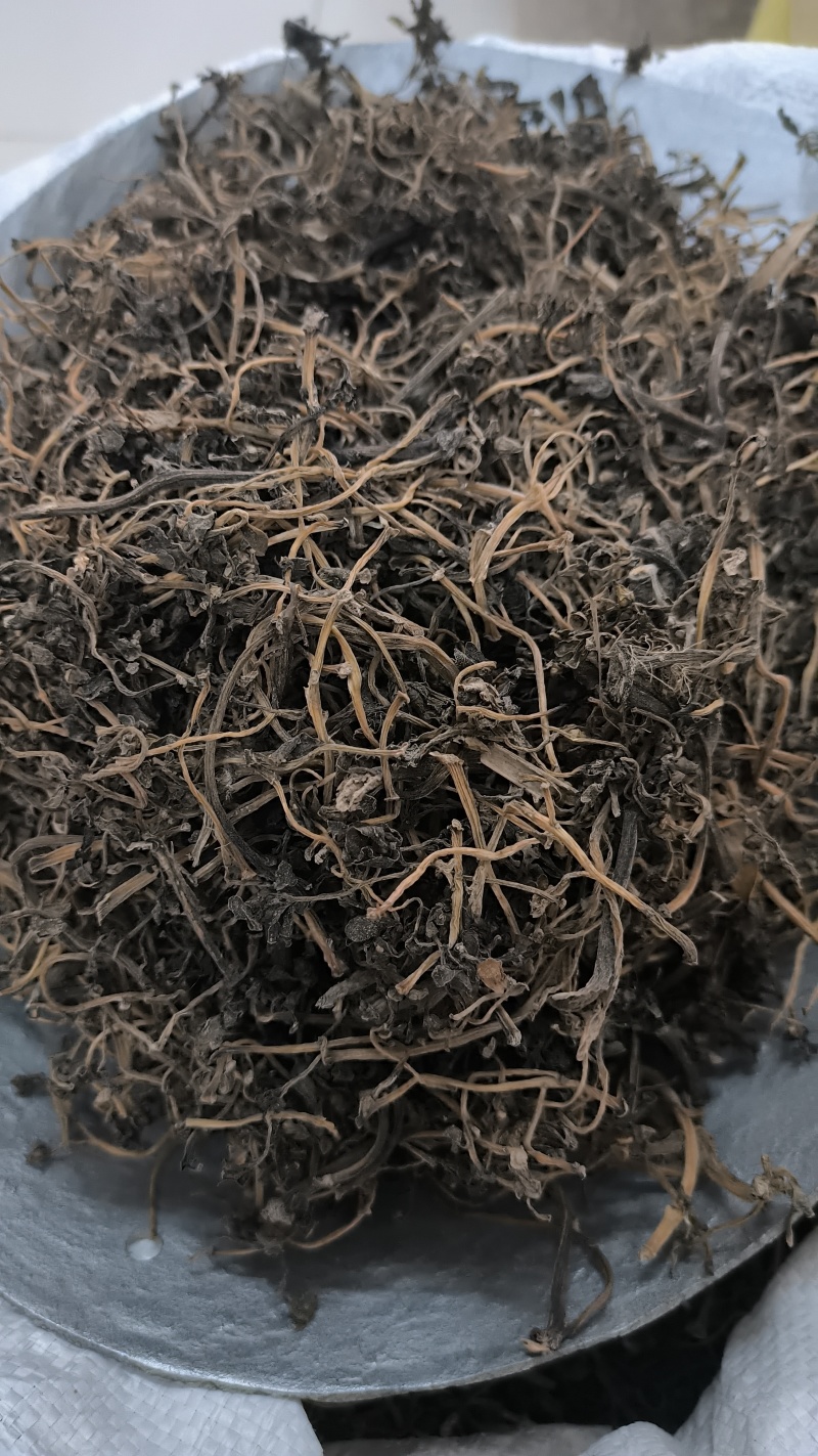 马齿笕无硫野生马齿笕批发马齿笕质量保证量大从优