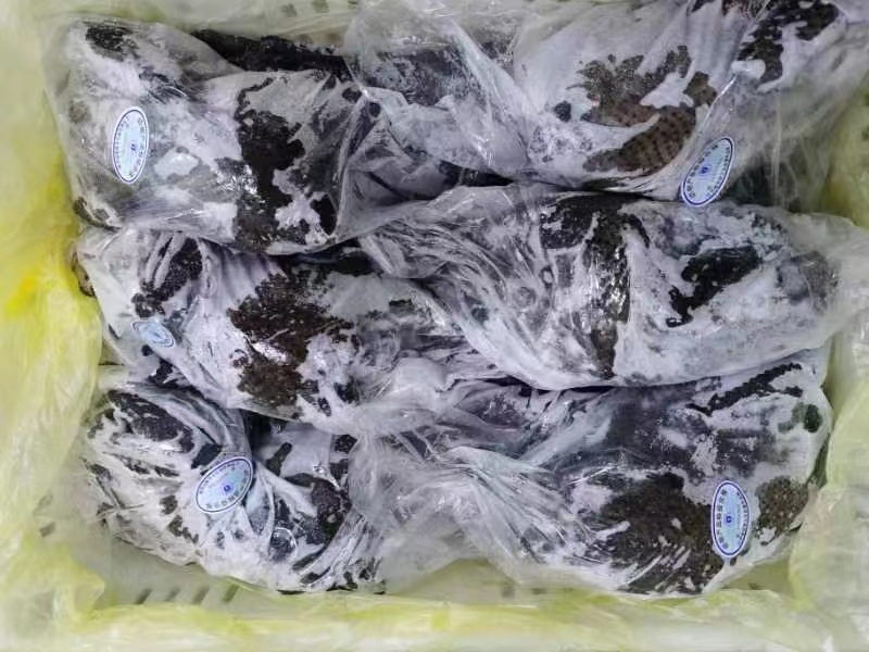 乌鸡白条，正在热销中，规格齐全，需要的话可以随时联系我
