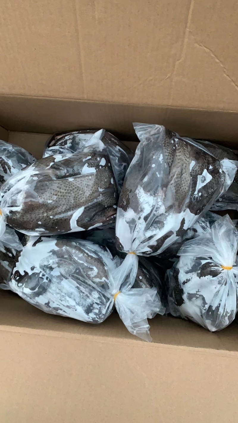 乌鸡白条，正在热销中，规格齐全，需要的话可以随时联系我