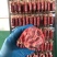 400g正宗青岛老火腿，纯手工果木熏烤大肉块真，源头厂家
