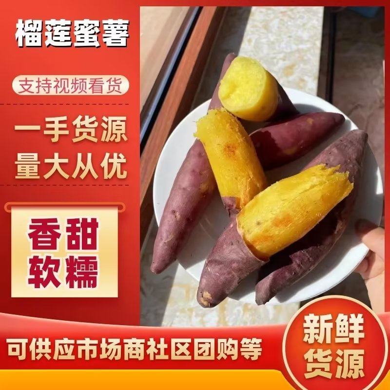 实力供应辽宁榴莲蜜薯基地直供品质保证量大优惠视频看货