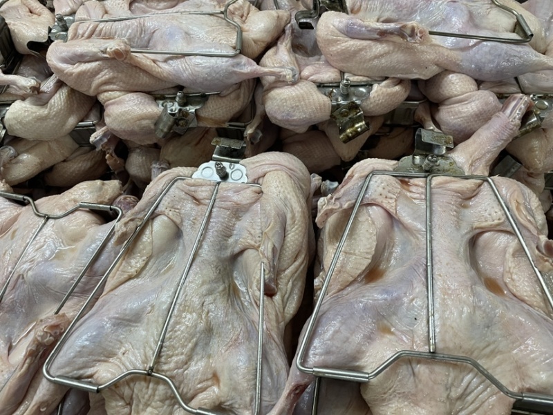 鸭肉半成品手撕烤鸭供应工厂直发价格优惠