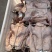 鸭肉半成品手撕烤鸭供应工厂直发价格优惠