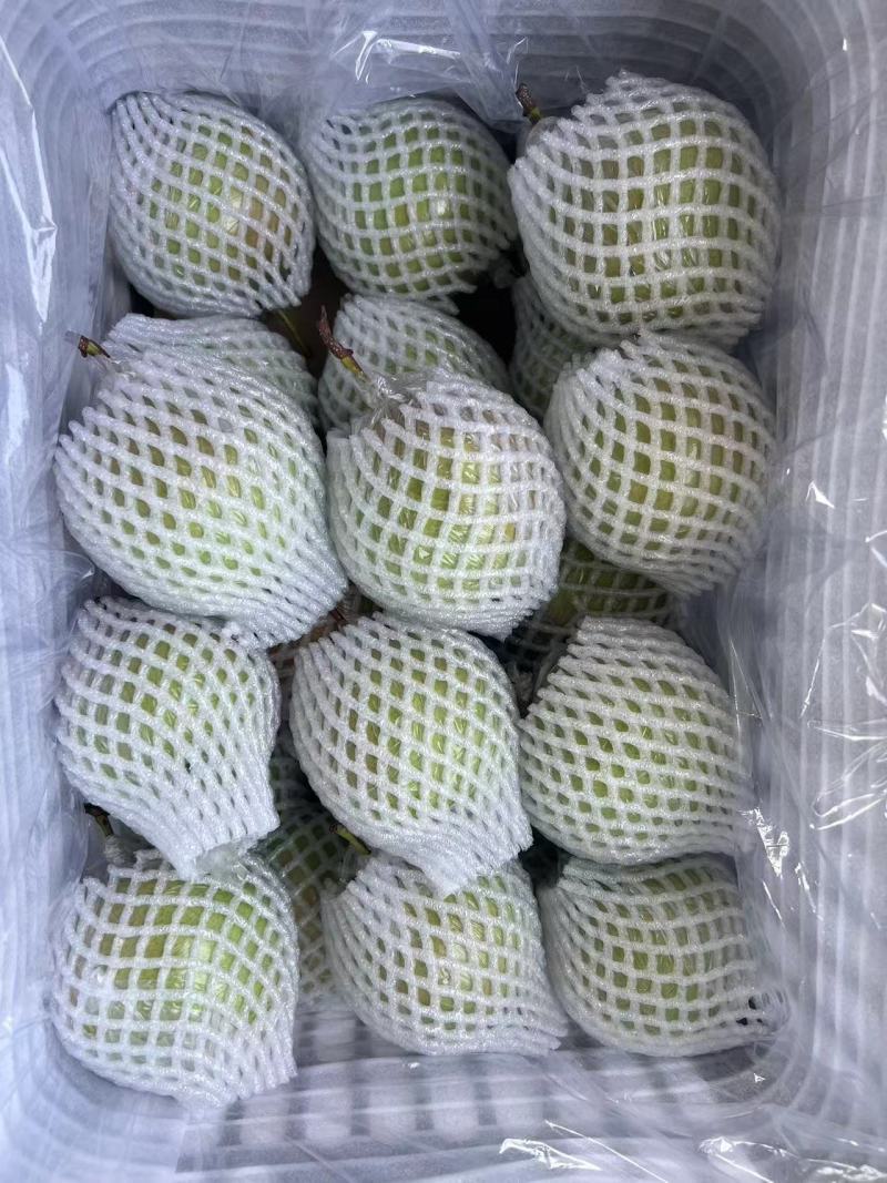 精品库存玉露香梨，口感脆甜，流糖的梨