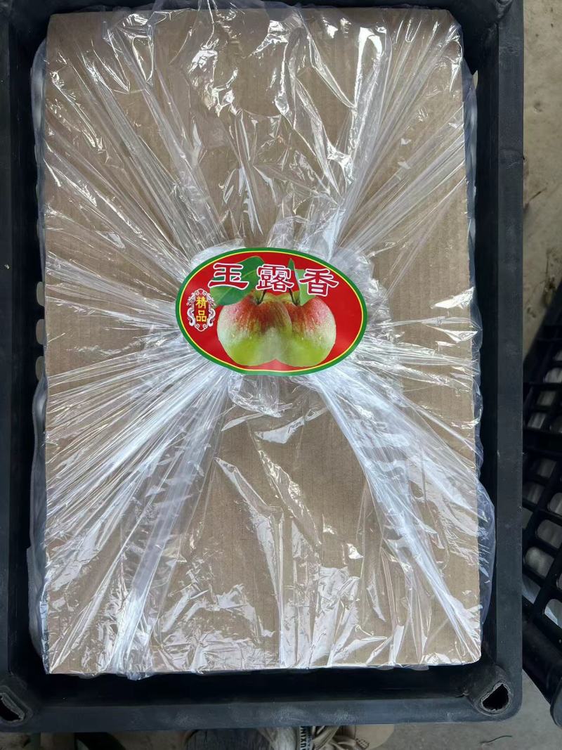 精品库存玉露香梨，口感脆甜，流糖的梨