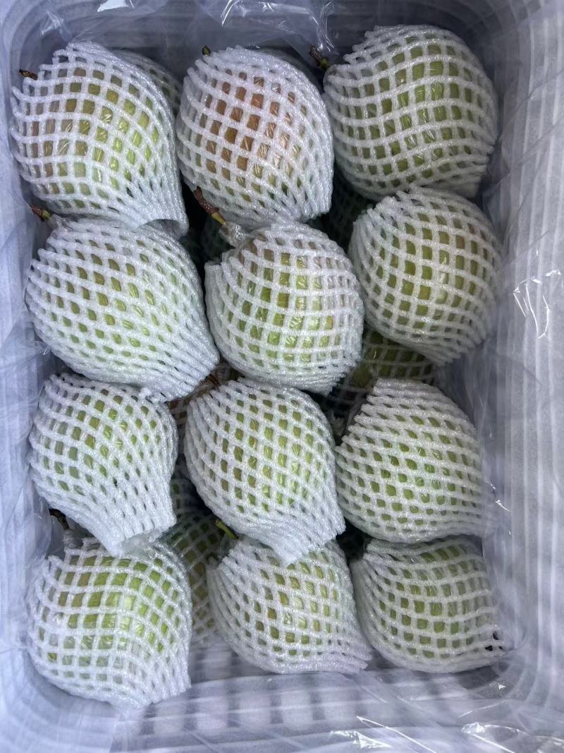 精品库存玉露香梨，口感脆甜，流糖的梨