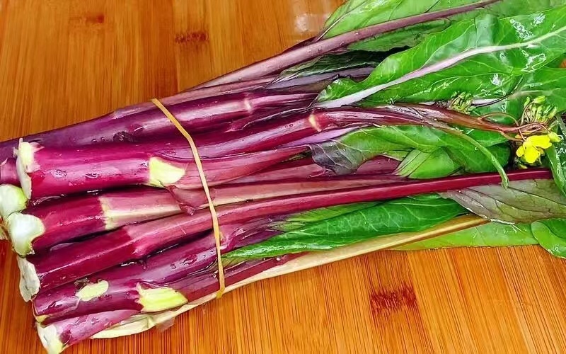 【优选】红菜苔大量上市货源充足量大从优