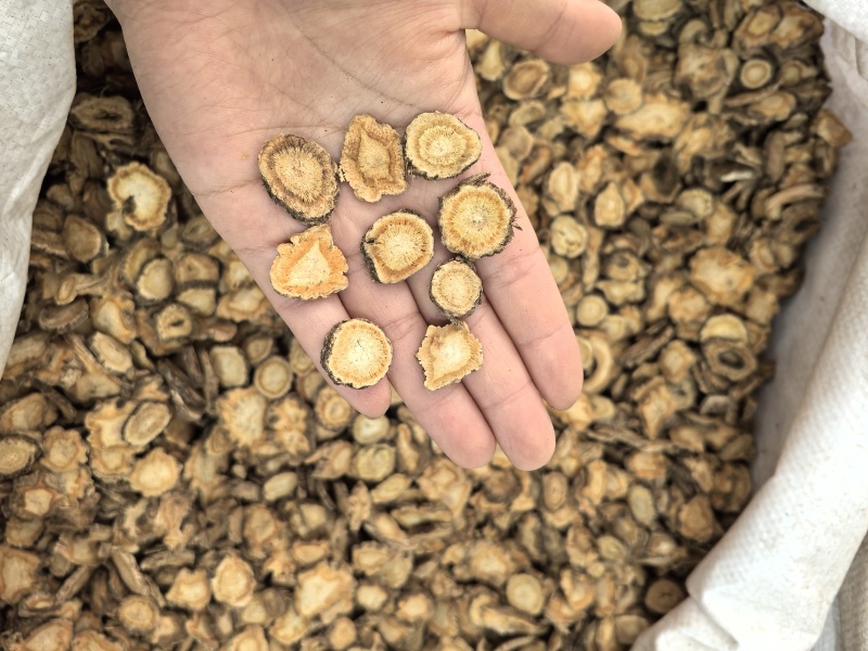 防风大片防风片产地货源大量供应中药材批发零售