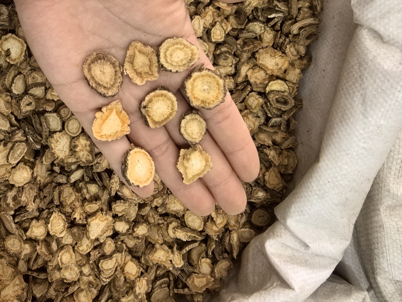 防风大片防风片产地货源大量供应中药材批发零售