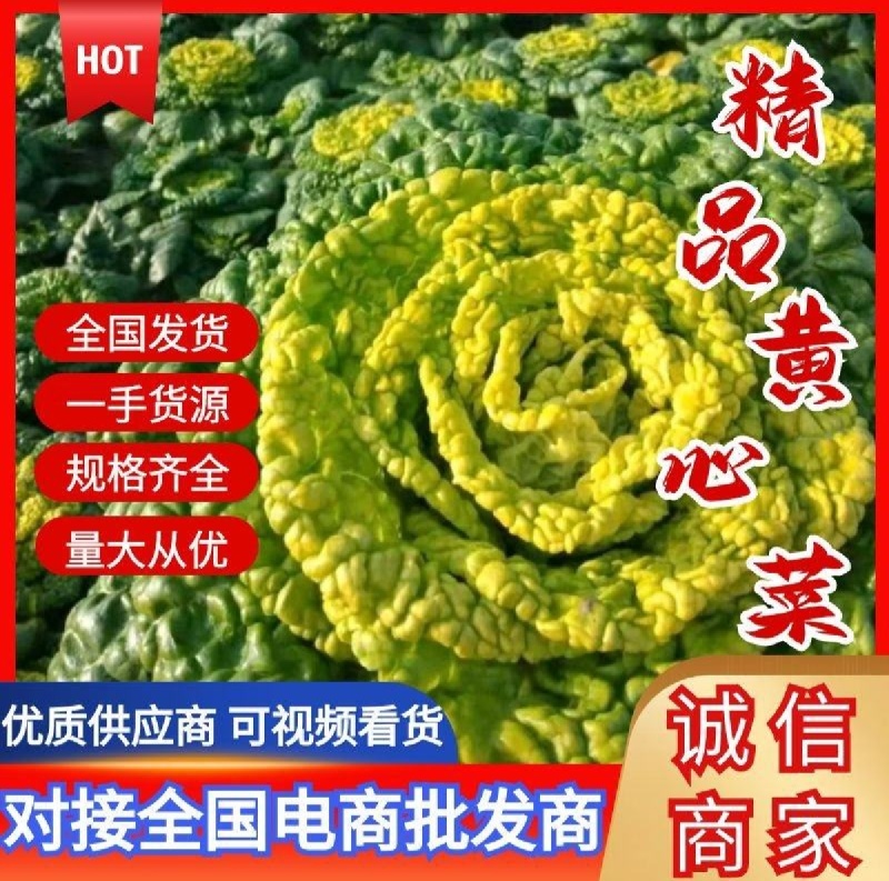 精品黄心菜