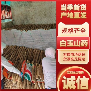 宁夏白玉山药对接市场电商市场一手货源保证质量