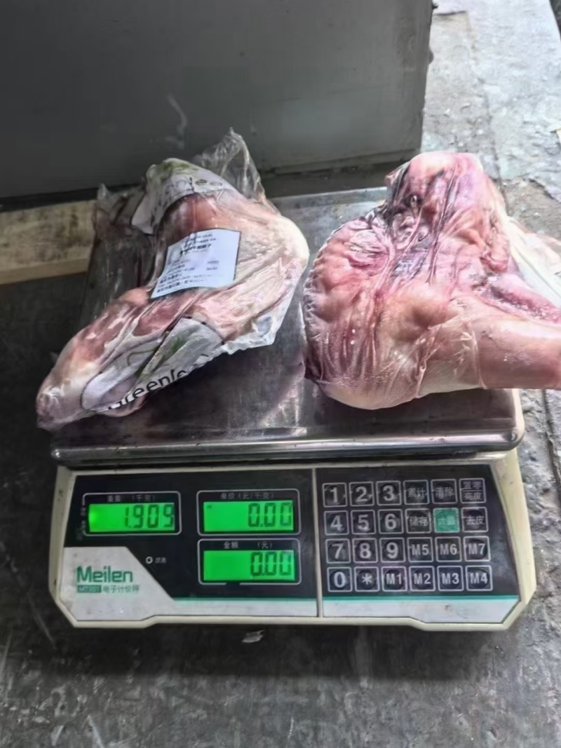 犊牛前腿