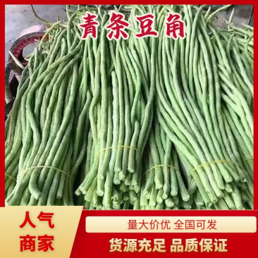 【优选青条豆角】一手货源，无虫眼，货源充足，欢迎各