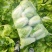【黄心白菜】河南白菜/新野白菜/产地批发/供应市场电商