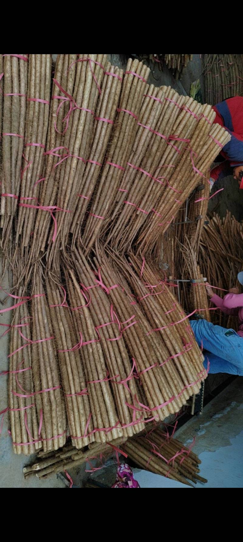 铁棍山药