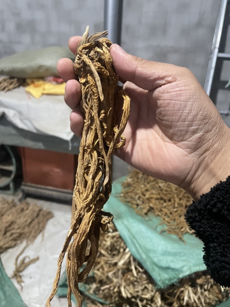 独活水洗个子金黄色