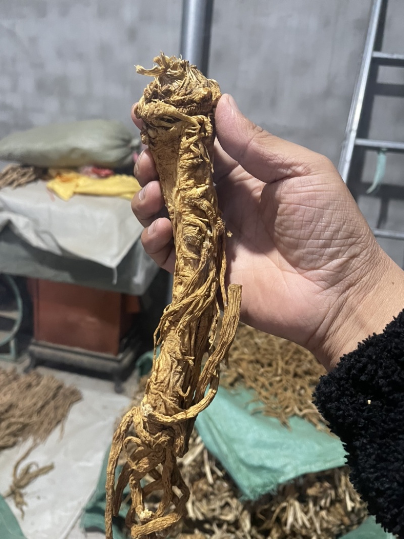 独活水洗个子金黄色