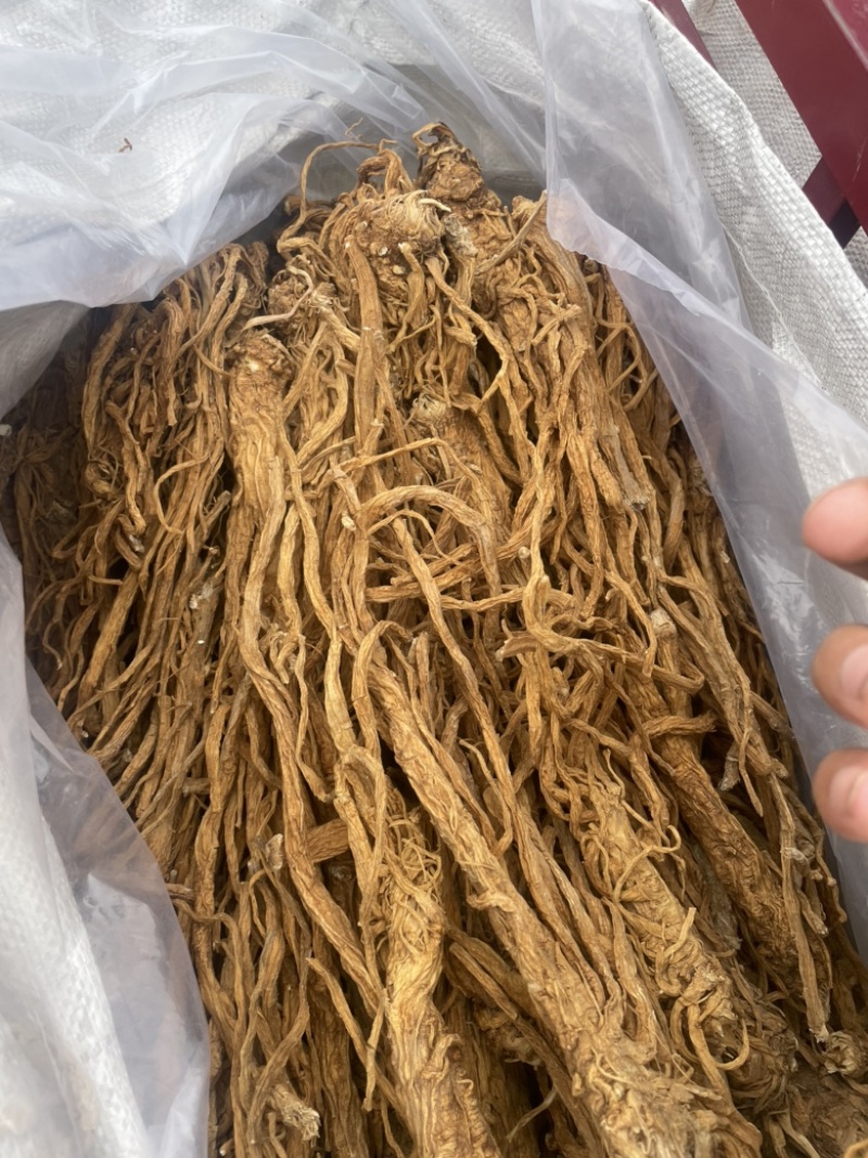 独活水洗个子金黄色