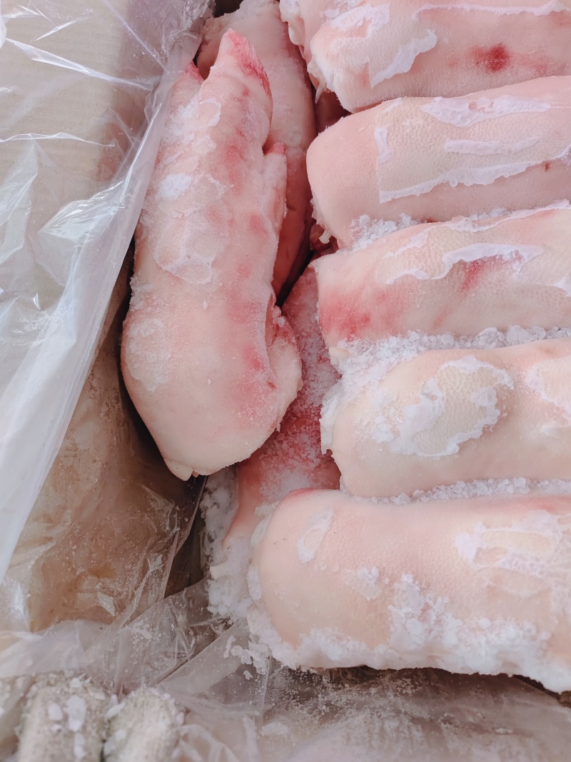 母猪前蹄，母猪蹄，纯干猪蹄，一级猪蹄，东北纯干猪蹄