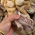 去骨熟牛蹄