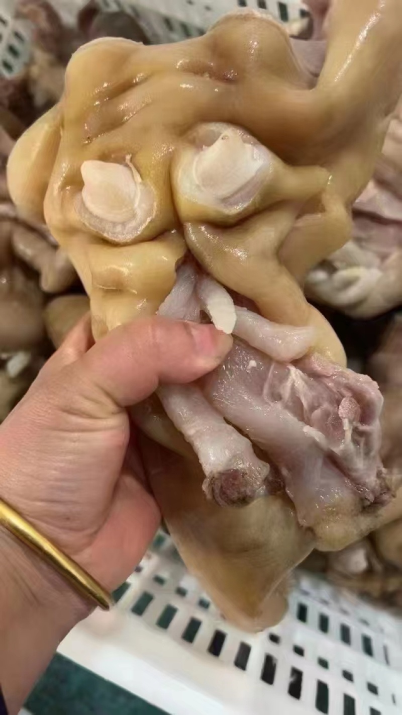去骨熟牛蹄