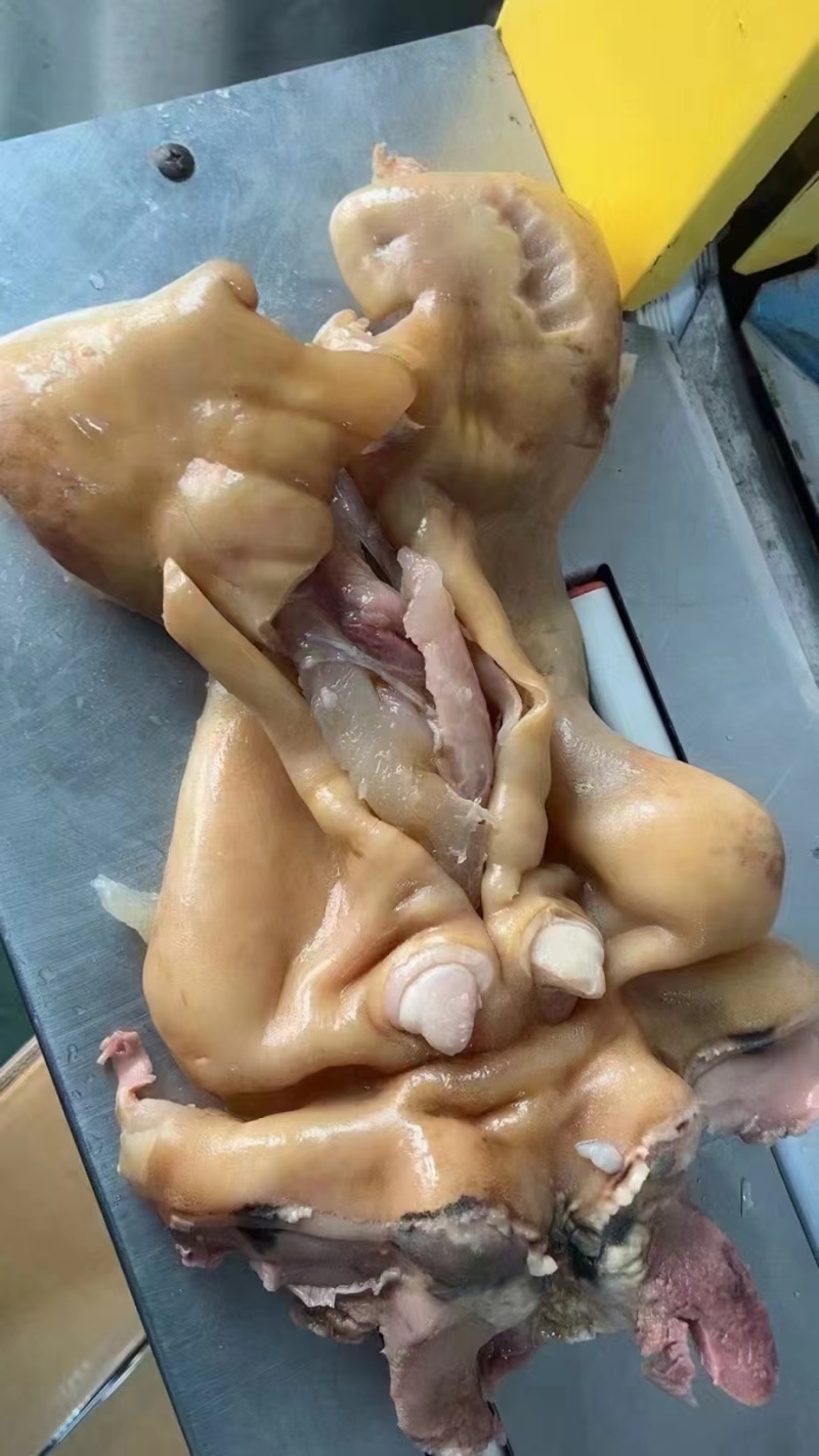 去骨熟牛蹄