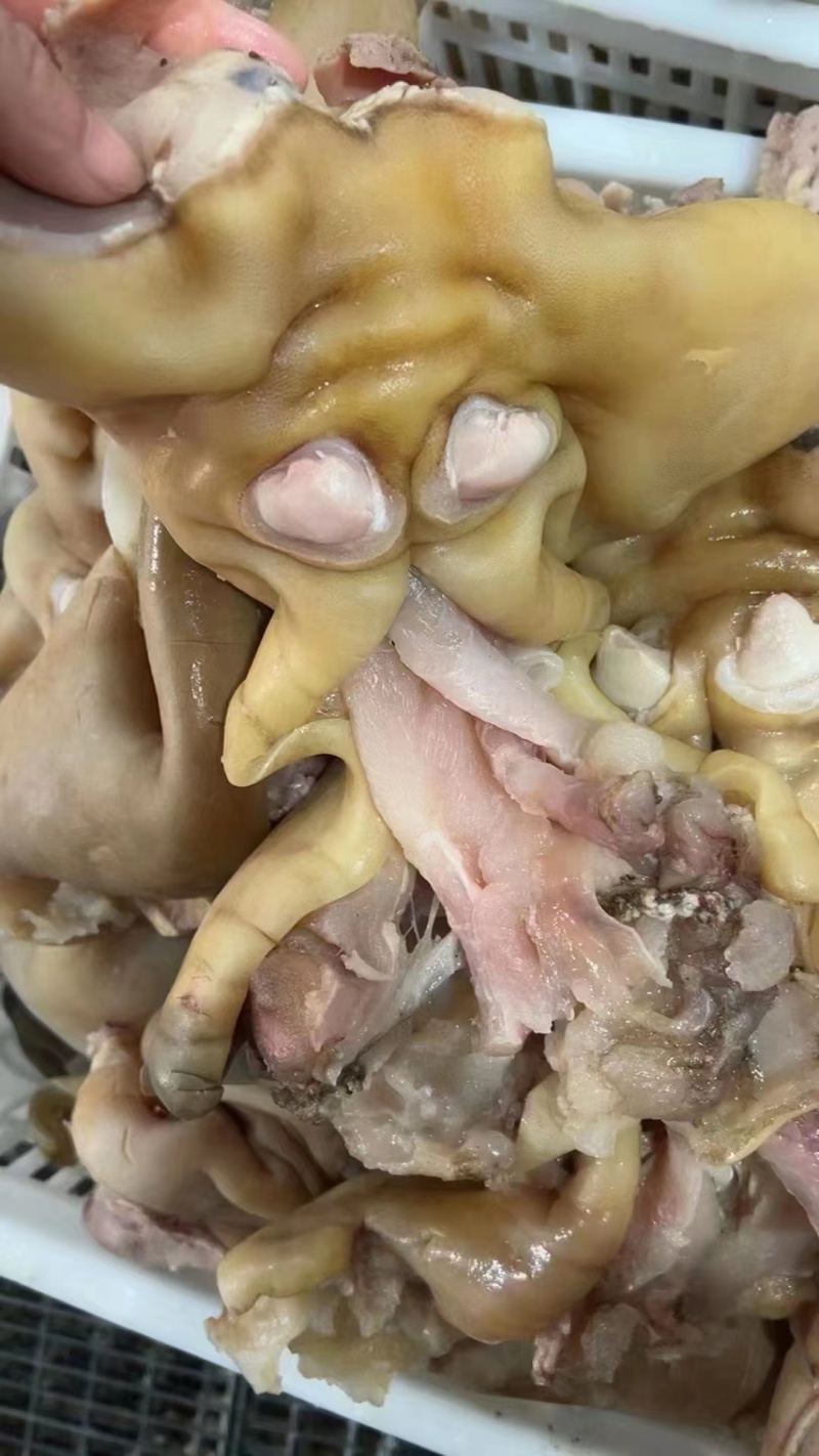 去骨熟牛蹄
