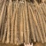 内黄双棒山药大量上市中，高品质价格优惠欢迎订购、