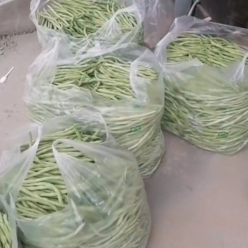 精品无丝豆大量上市，欢迎订购！
