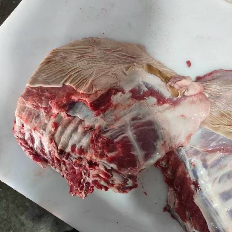 带皮羊排