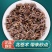 北苍术种子