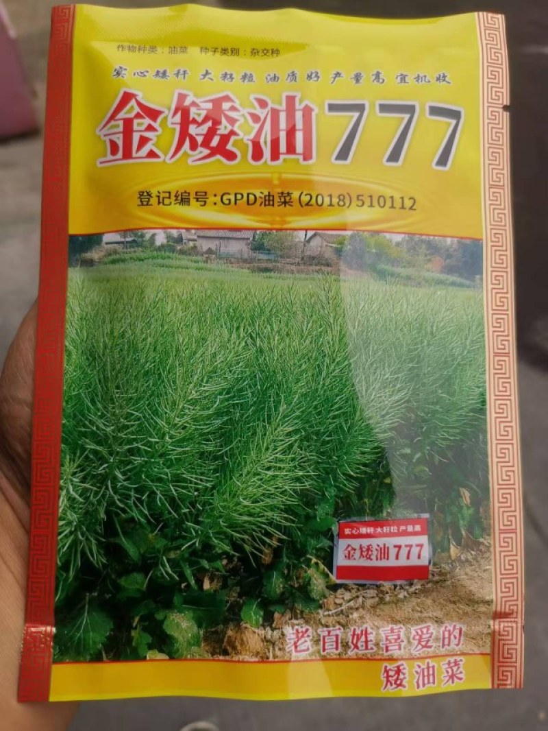 金矮油777矮杆高产油菜种子抗倒伏抗病出油高适广性强秋播