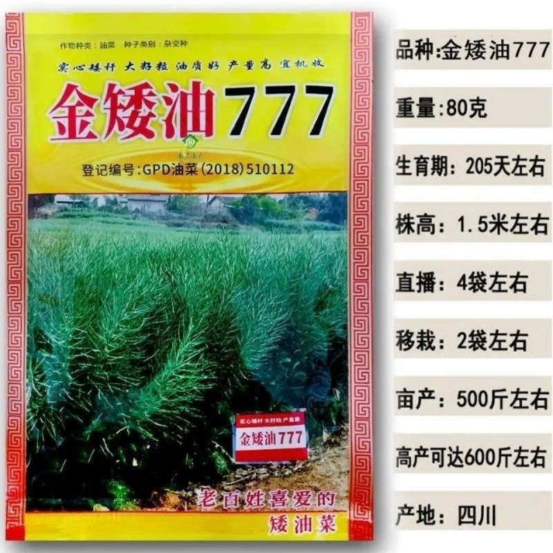 金矮油777矮杆高产油菜种子抗倒伏抗病出油高适广性强秋播