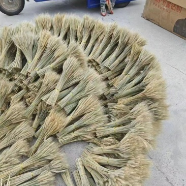天然原色大麦厂家直销一手货源零售批发一万支整箱批发