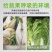 蔬菜水果冬秋专用防雾透气打孔塑料袋手提保鲜社区团购方便袋
