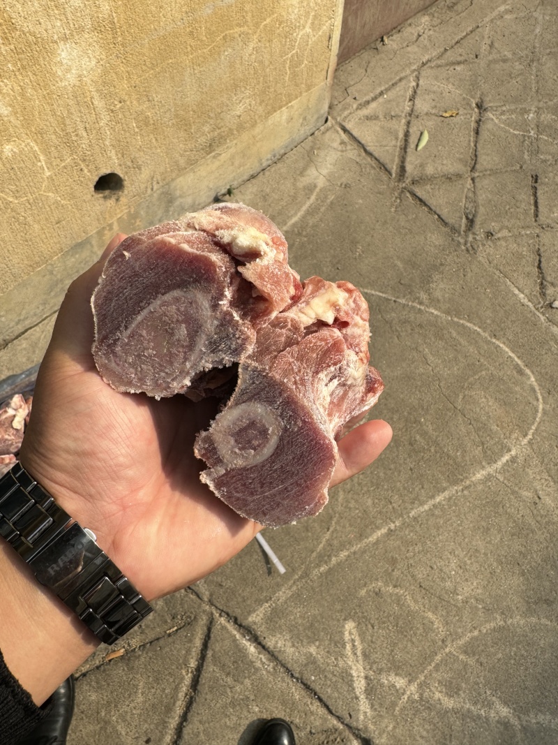 国产骨块