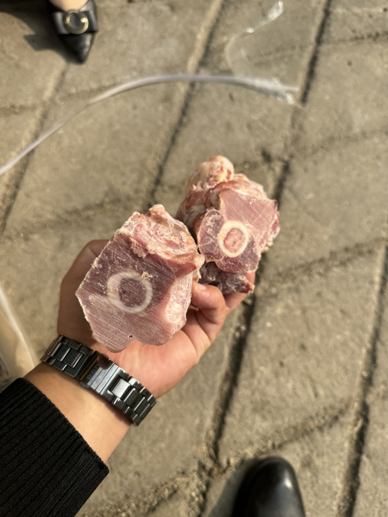 国产骨块