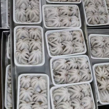 章鱼(去肉脏，盐磨八爪鱼)