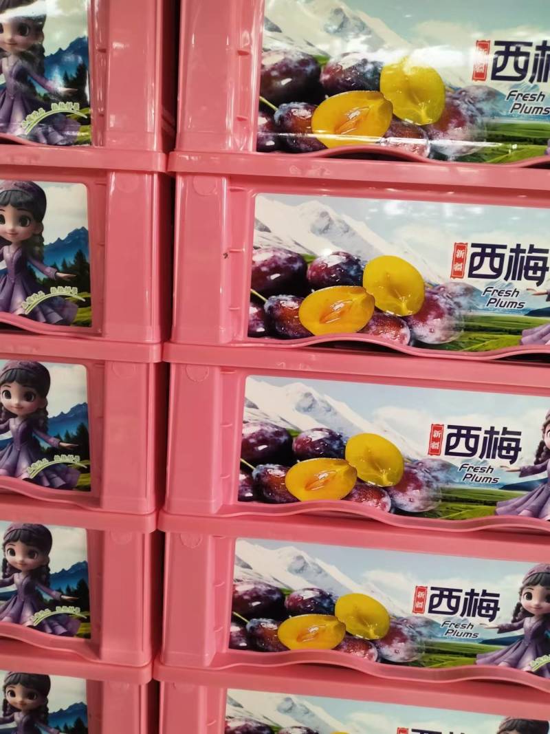 【正宗】新疆库尔勒西梅大小规格都有全国接单发货耐运输便宜