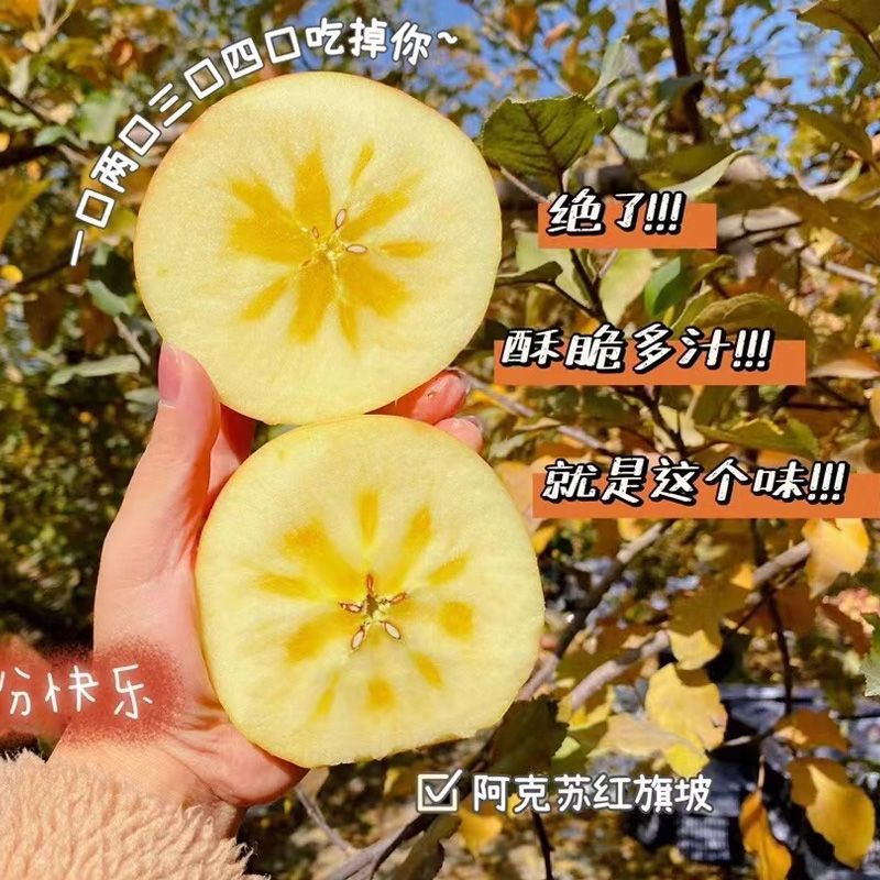 【阿克苏苹果】正宗产地供货甜度高口感脆甜入口化渣一件代发