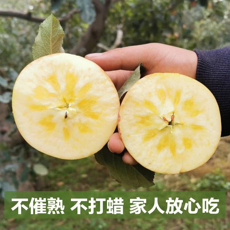 【阿克苏苹果】正宗产地供货甜度高口感脆甜入口化渣一件代发