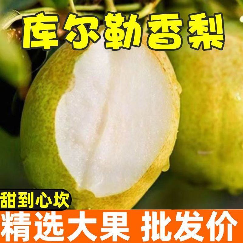 【优选】新疆库尔勒香梨，大量有货，现采现发