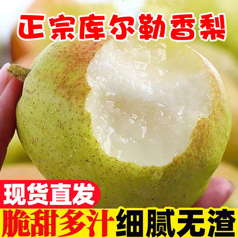 【优选】新疆库尔勒香梨，大量有货，现采现发